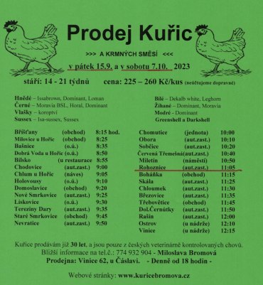Prodej kuřic v pátek 15.9. a v sobotu 7.10.2023 Rohoznice u prodejny, čas 11:05 hodin