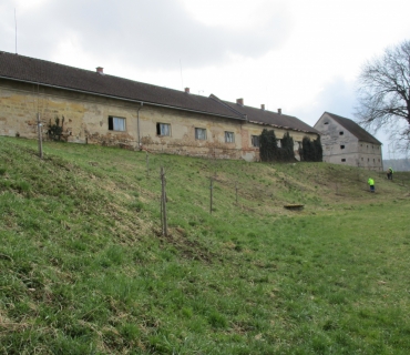 SÁZENÍ OVOCNÉHO SADU U HŘIŠTĚ